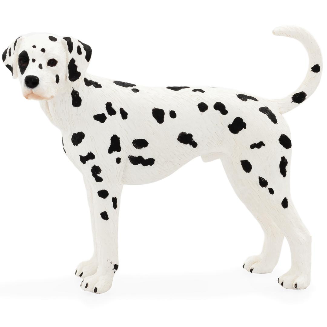 Dalmatian Dog - Mojo