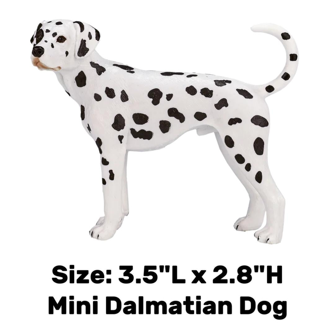 Dalmatian Dog - Mojo