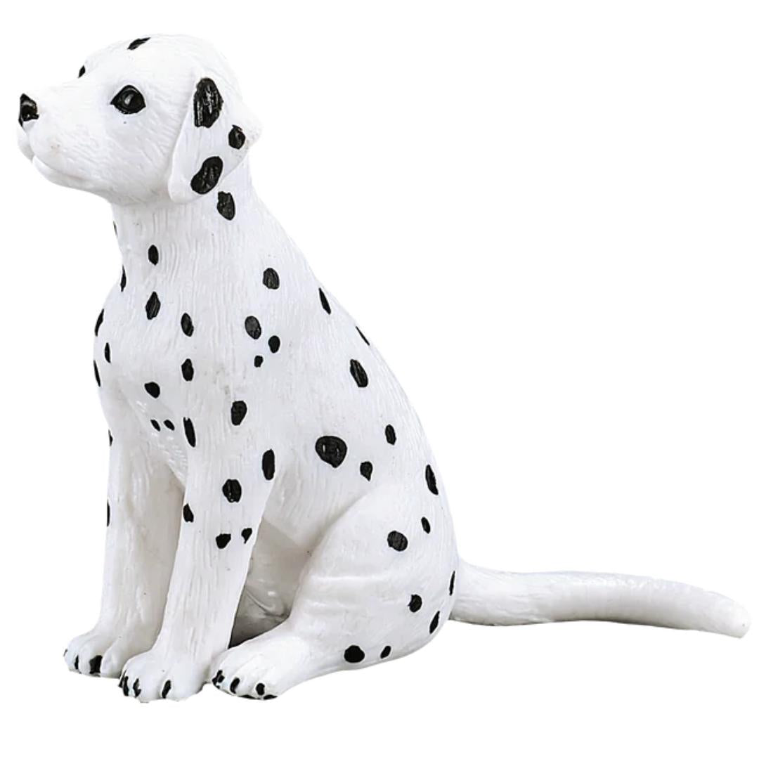 Dalmatian Puppy - Mojo