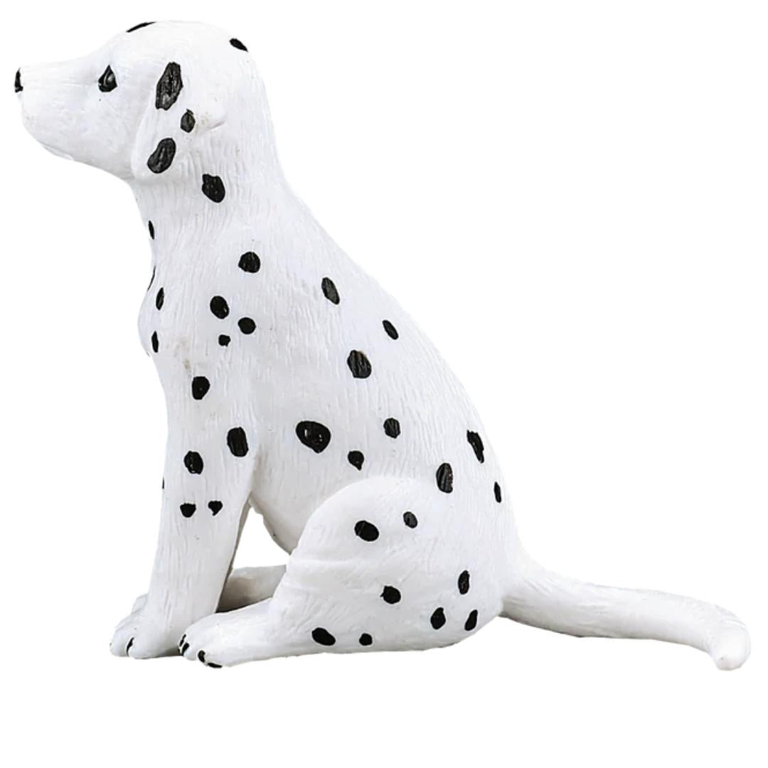 Dalmatian Puppy - Mojo