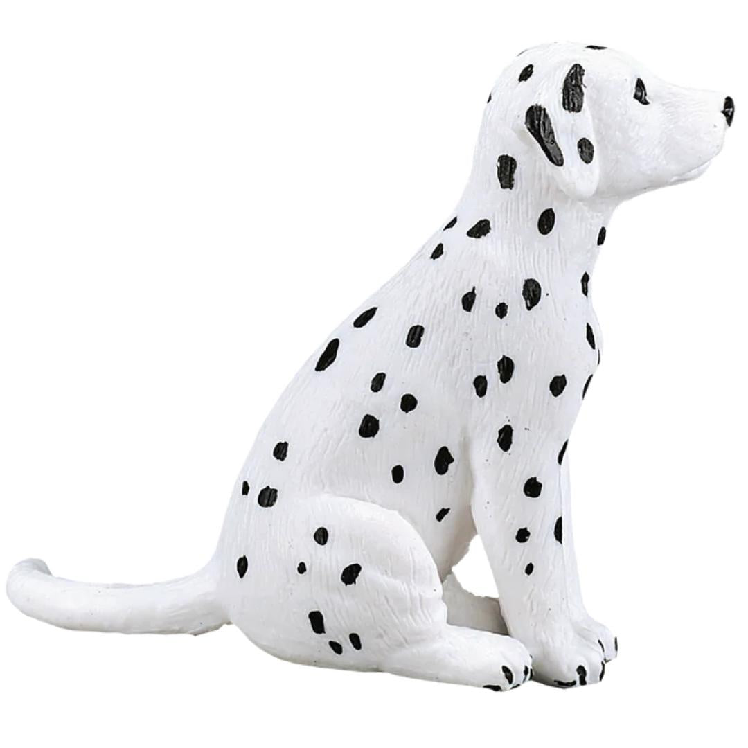Dalmatian Puppy - Mojo