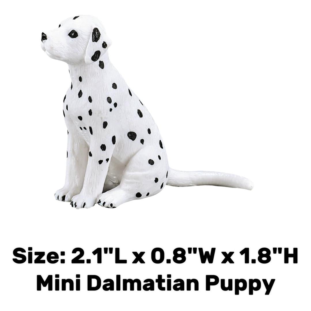 Dalmatian Puppy - Mojo
