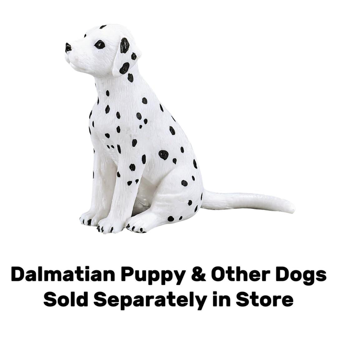 Dalmatian Dog - Mojo
