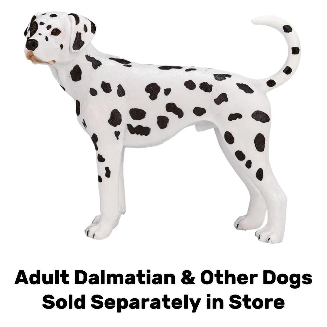Dalmatian Puppy - Mojo