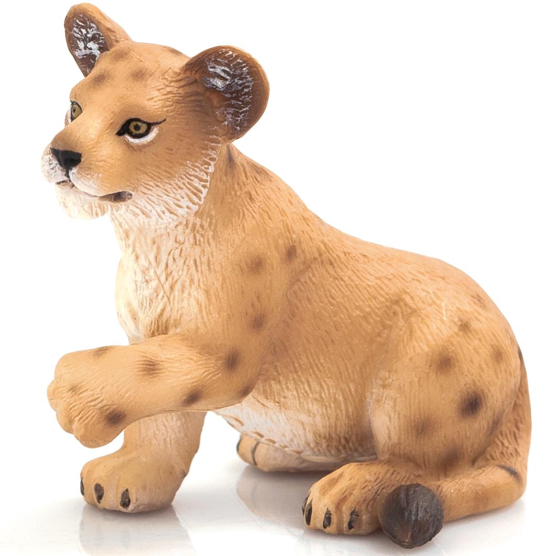 Lion Cub | Playing - Mojo