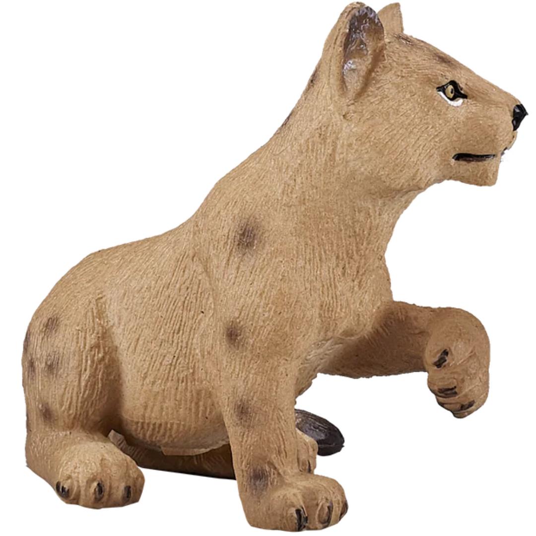 Lion Cub | Playing - Mojo