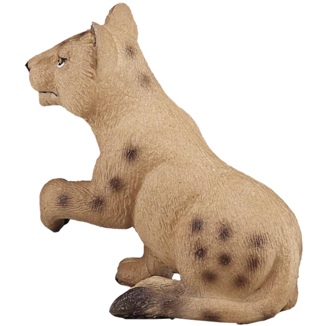 Lion Cub | Playing - Mojo
