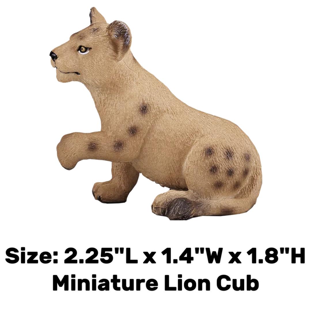 Lion Cub | Playing - Mojo