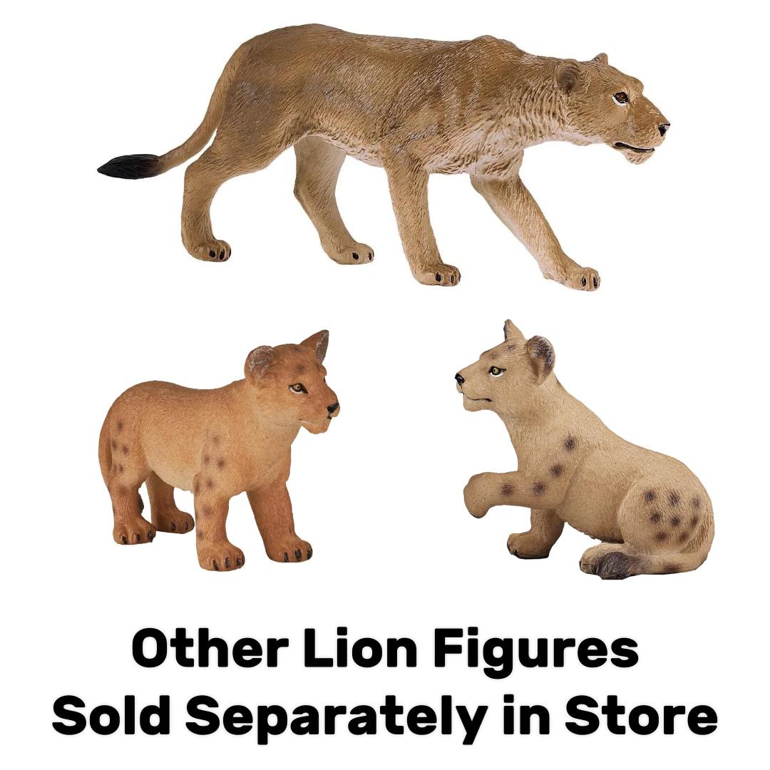 African Lion - Mojo