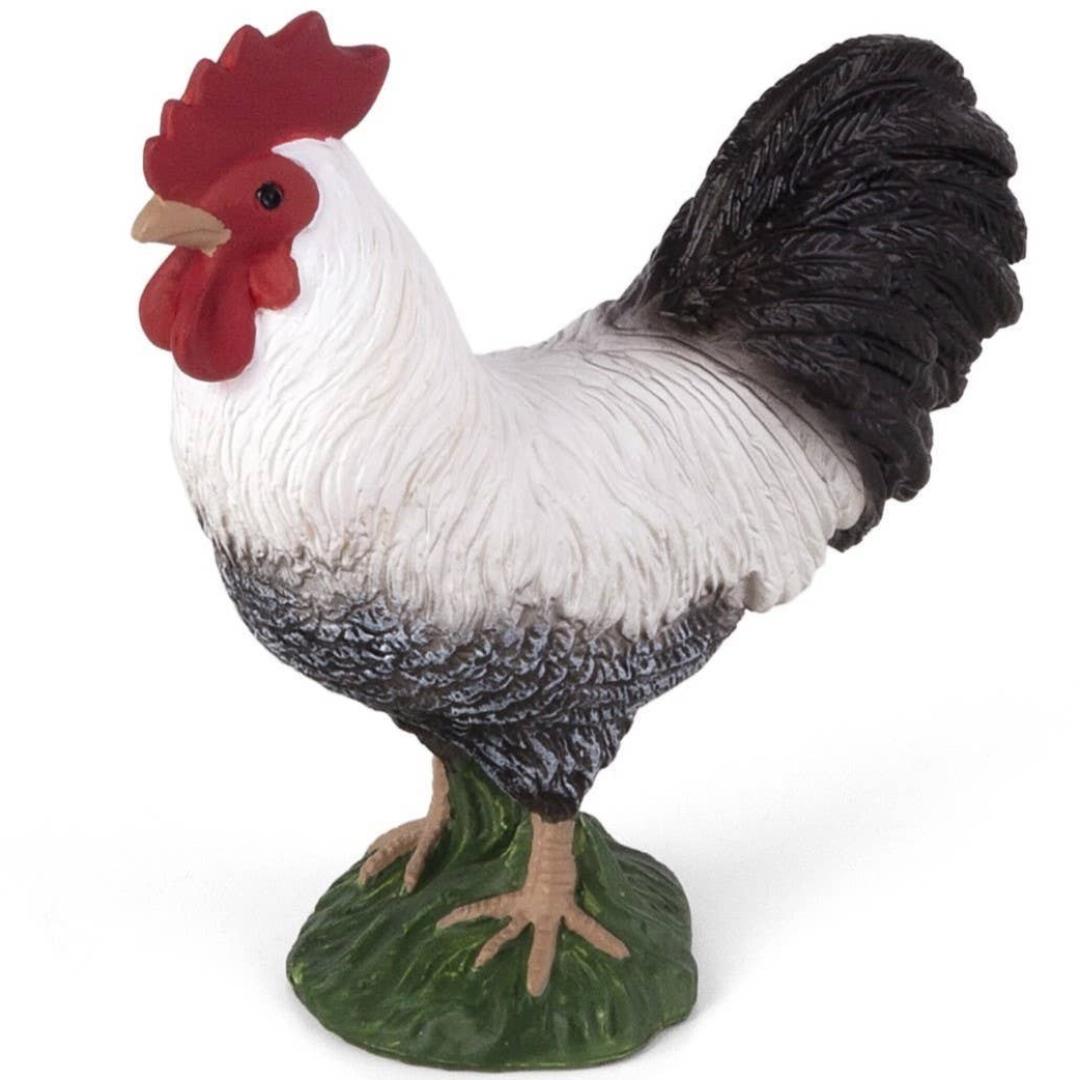 Cockerel - Mojo