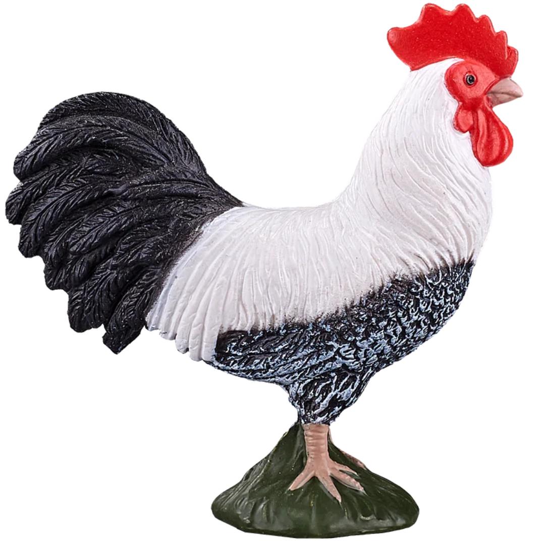 Cockerel - Mojo