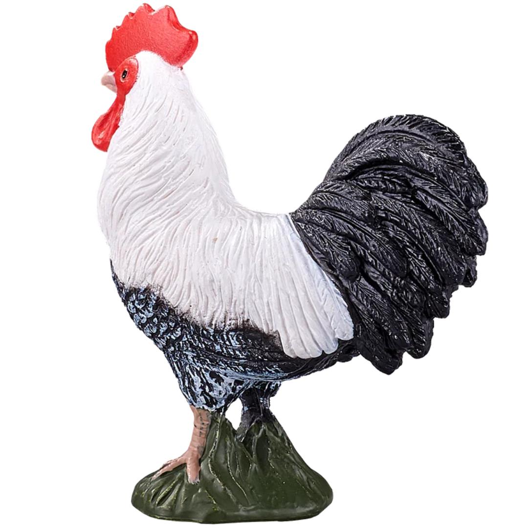 Cockerel - Mojo