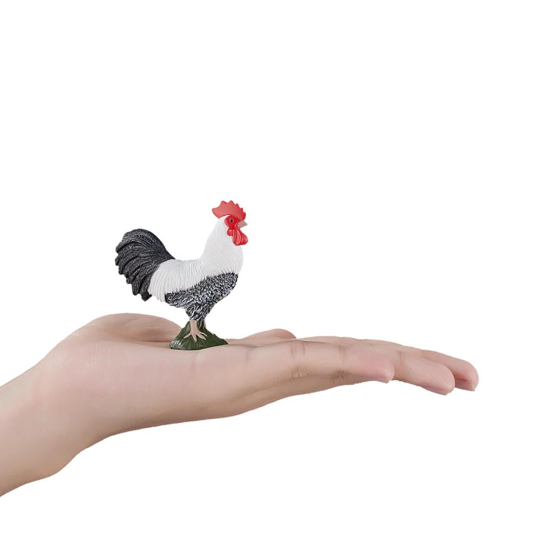 Cockerel - Mojo
