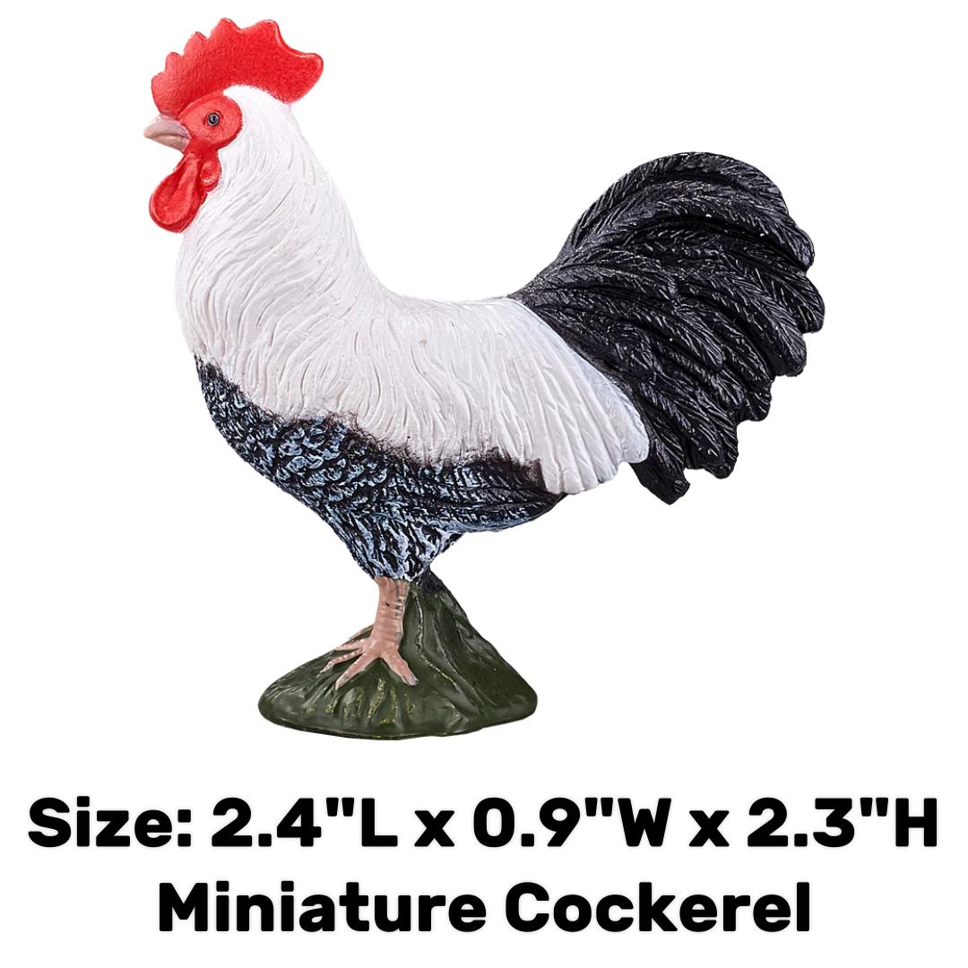 Cockerel - Mojo