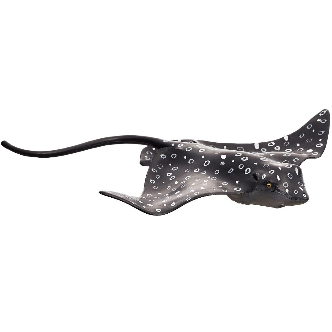 Spotted Eagle Ray - Mojo