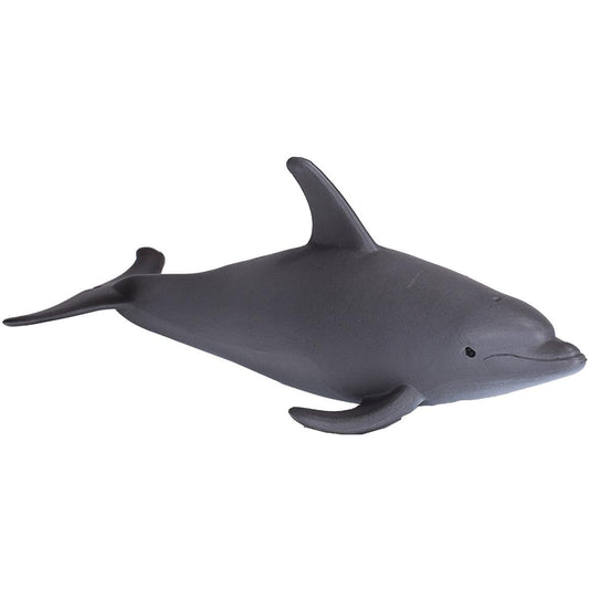 Bottlenose Dolphin - Mojo