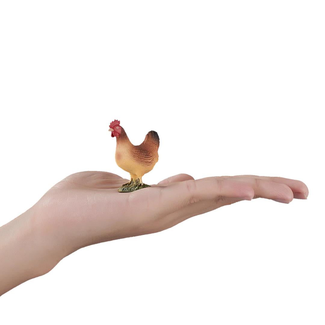 Hen | Standing - Mojo