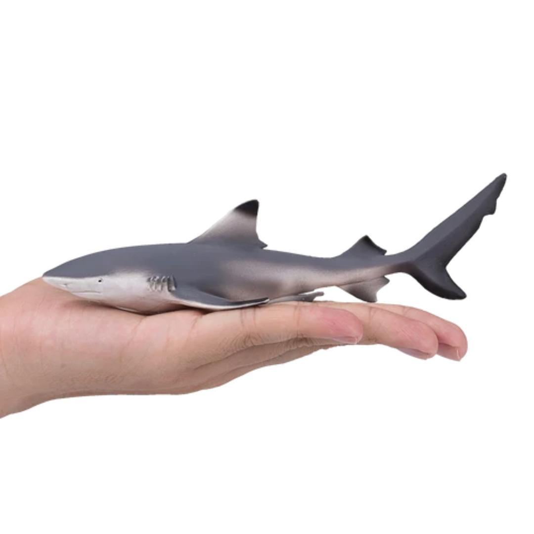 Blacktip Reef Shark - Mojo