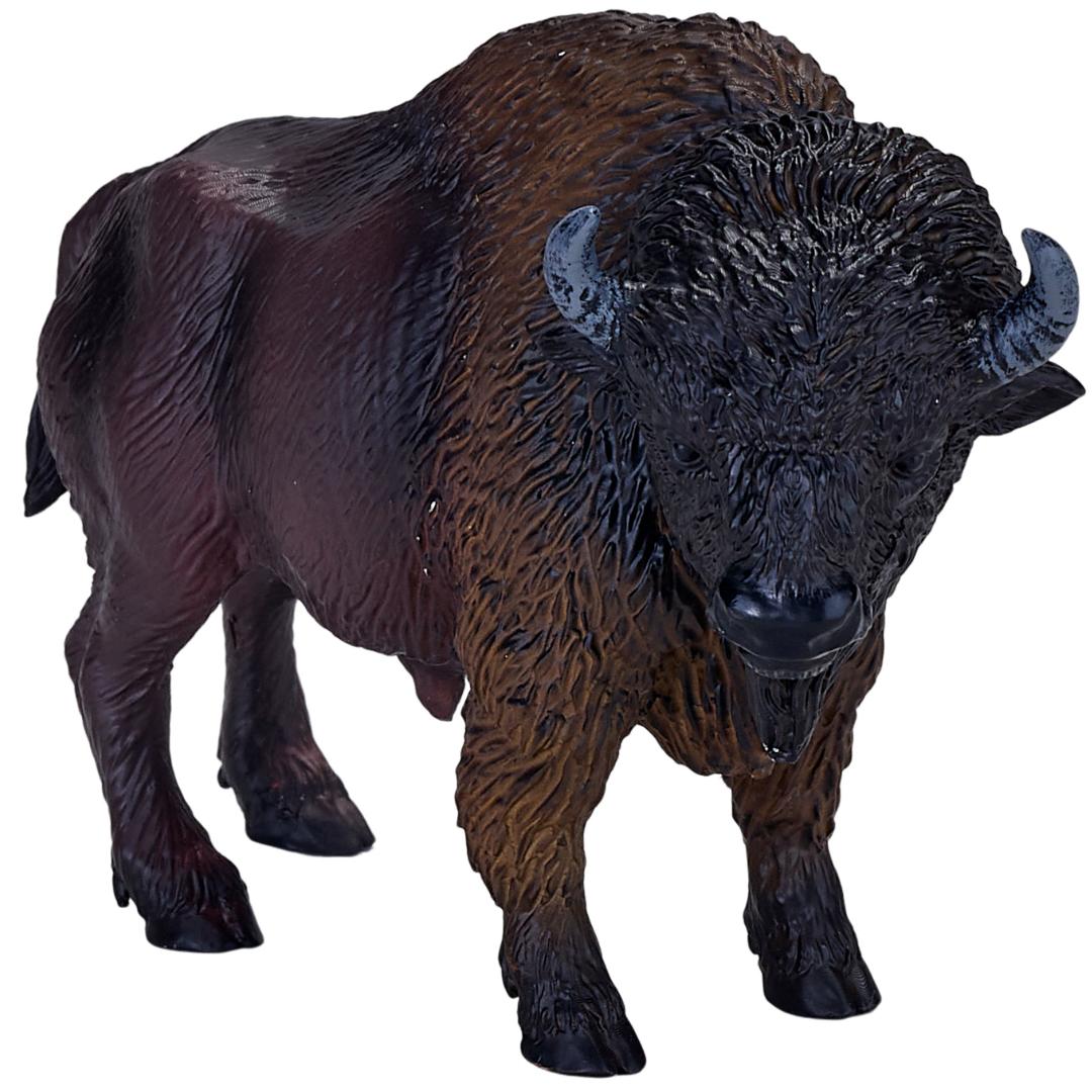 American Bison (Buffalo) - Mojo