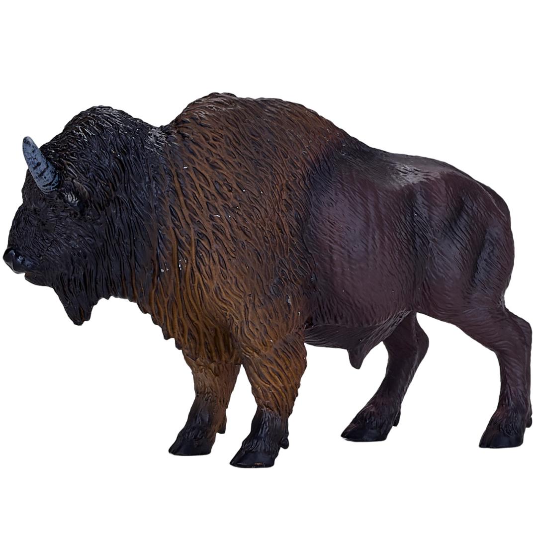 American Bison (Buffalo) - Mojo
