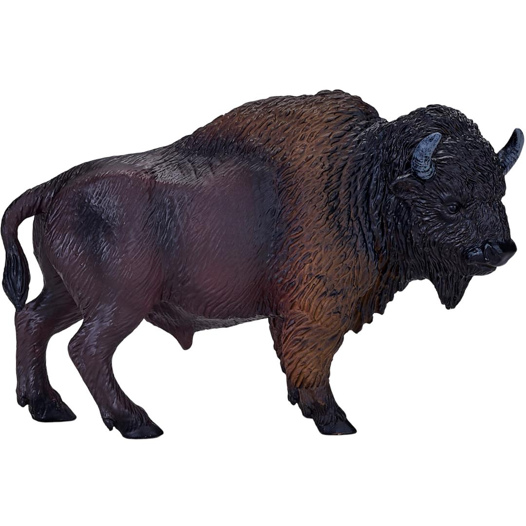 American Bison (Buffalo) - Mojo