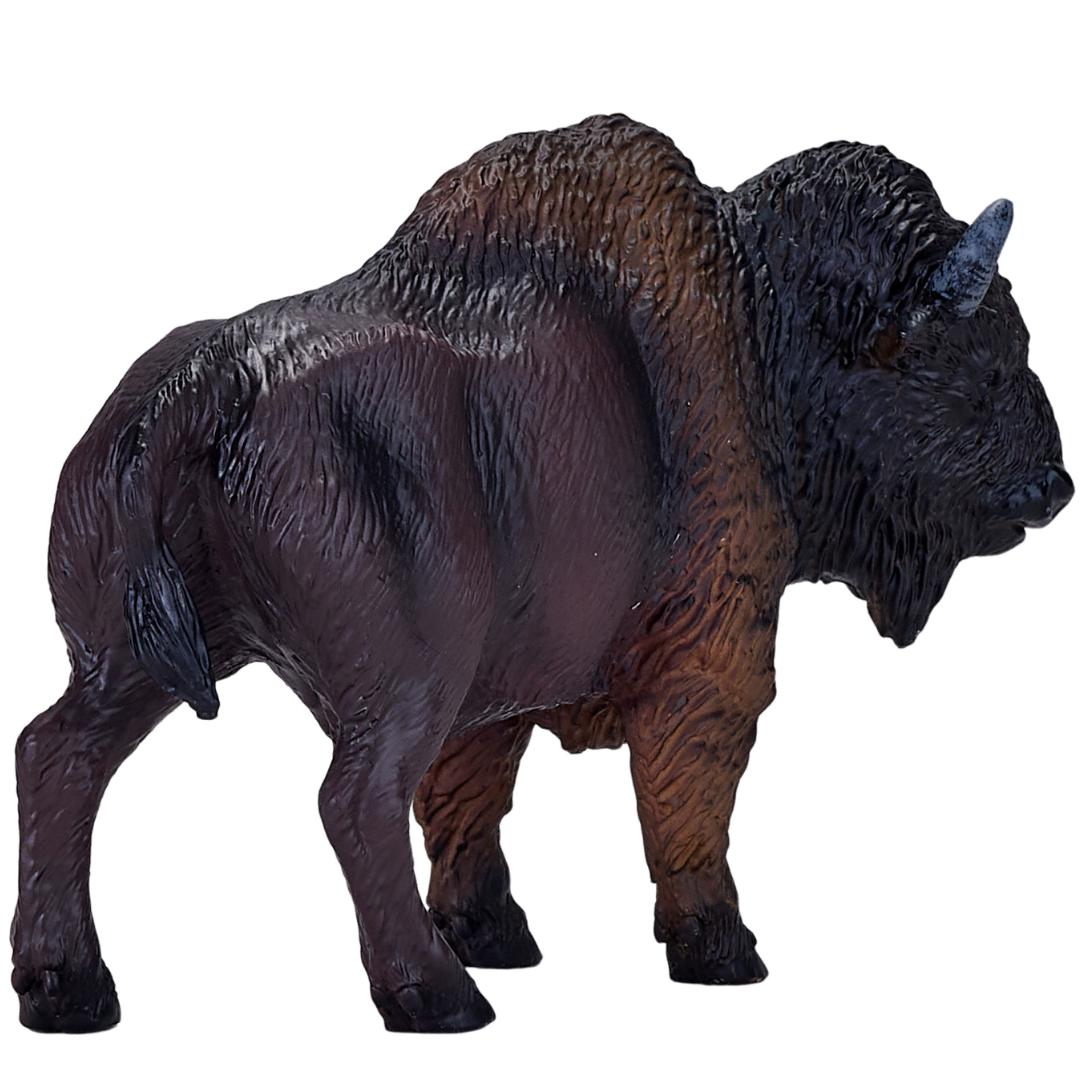 American Bison (Buffalo) - Mojo