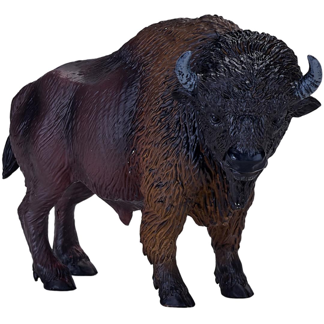 American Bison (Buffalo) - Mojo