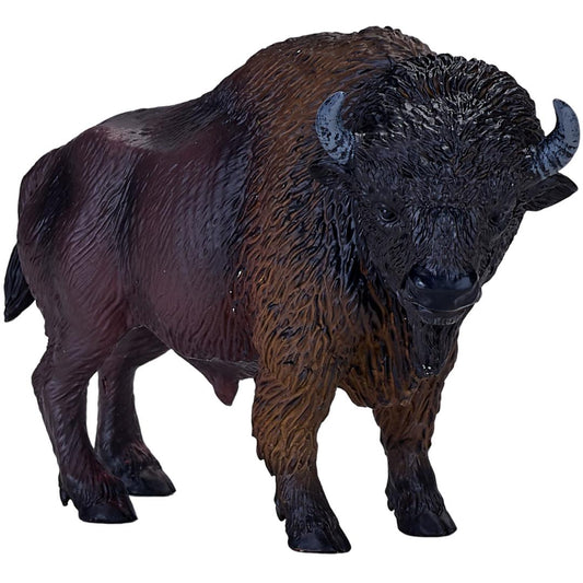 American Bison (Buffalo) - Mojo