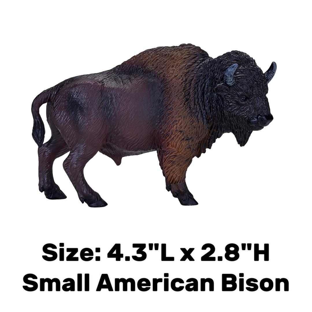American Bison (Buffalo) - Mojo