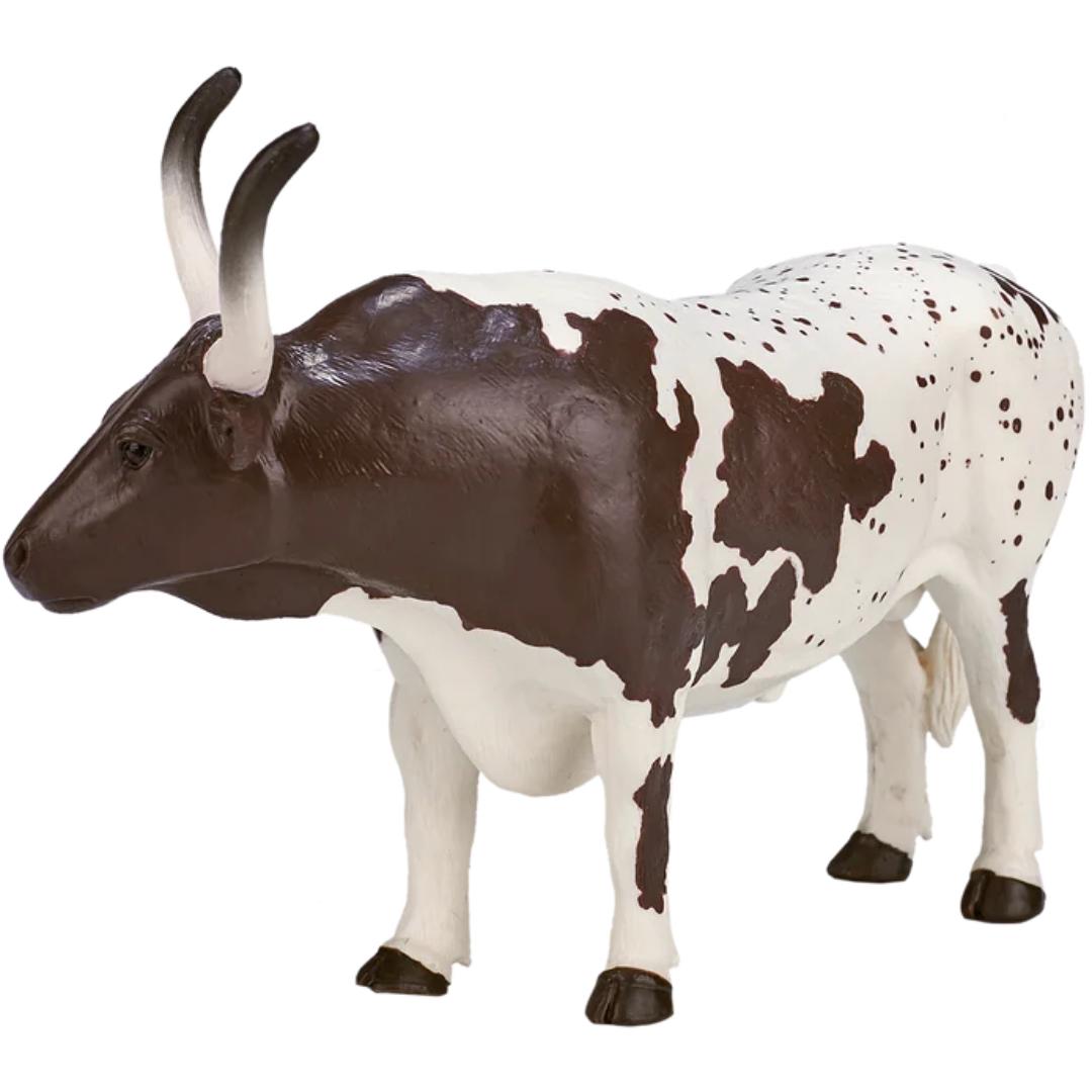 Texas Longhorn Bull - Mojo