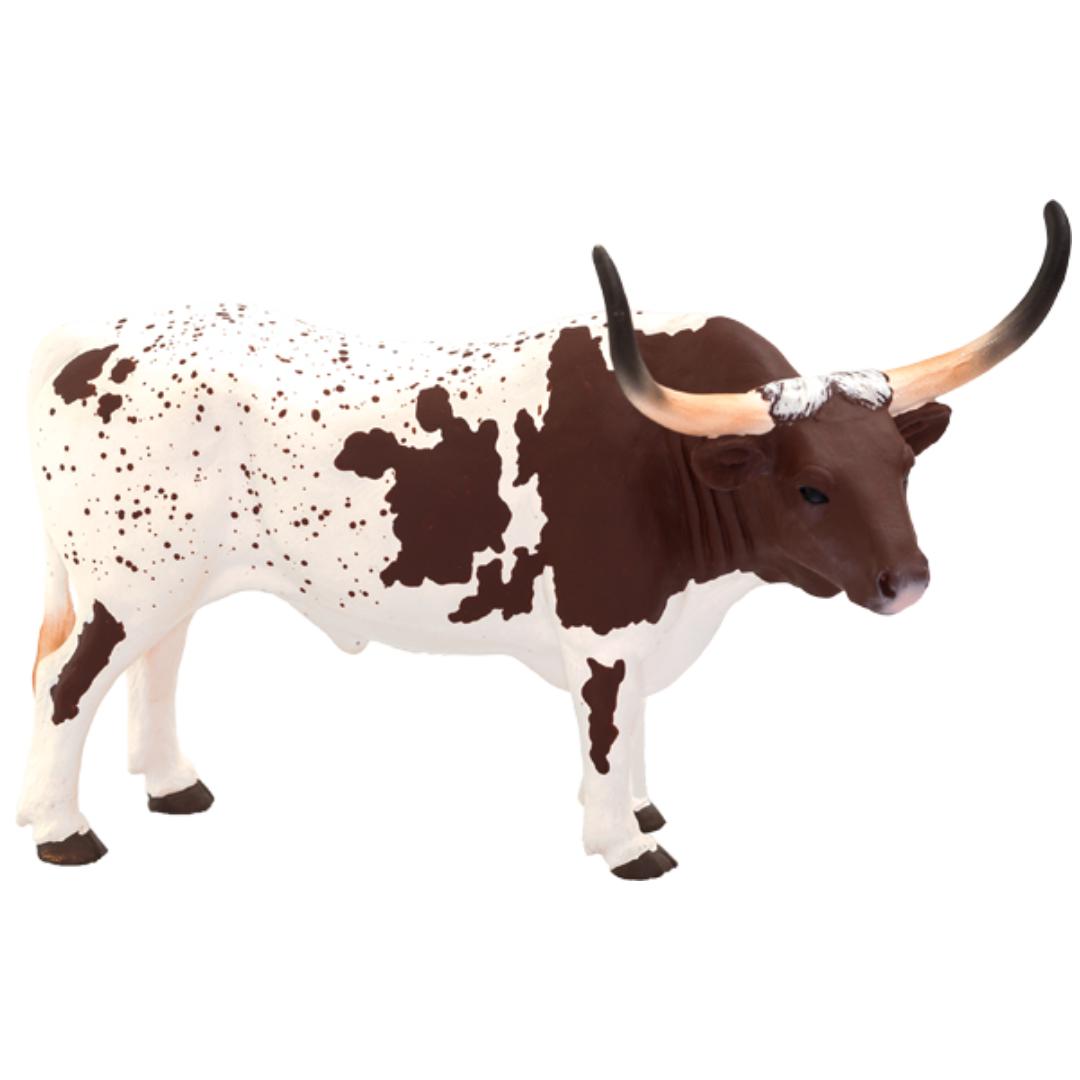 Texas Longhorn Bull - Mojo