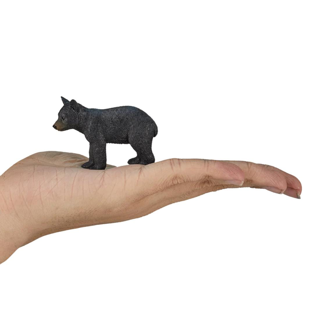 Black Bear Cub - Mojo
