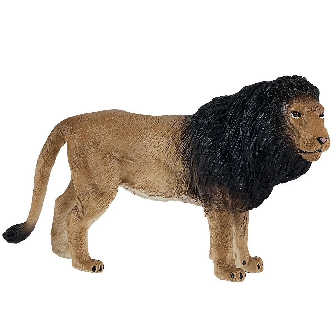 African Lion - Mojo
