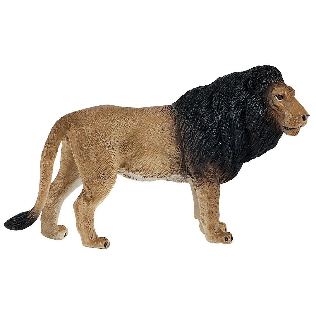 African Lion - Mojo
