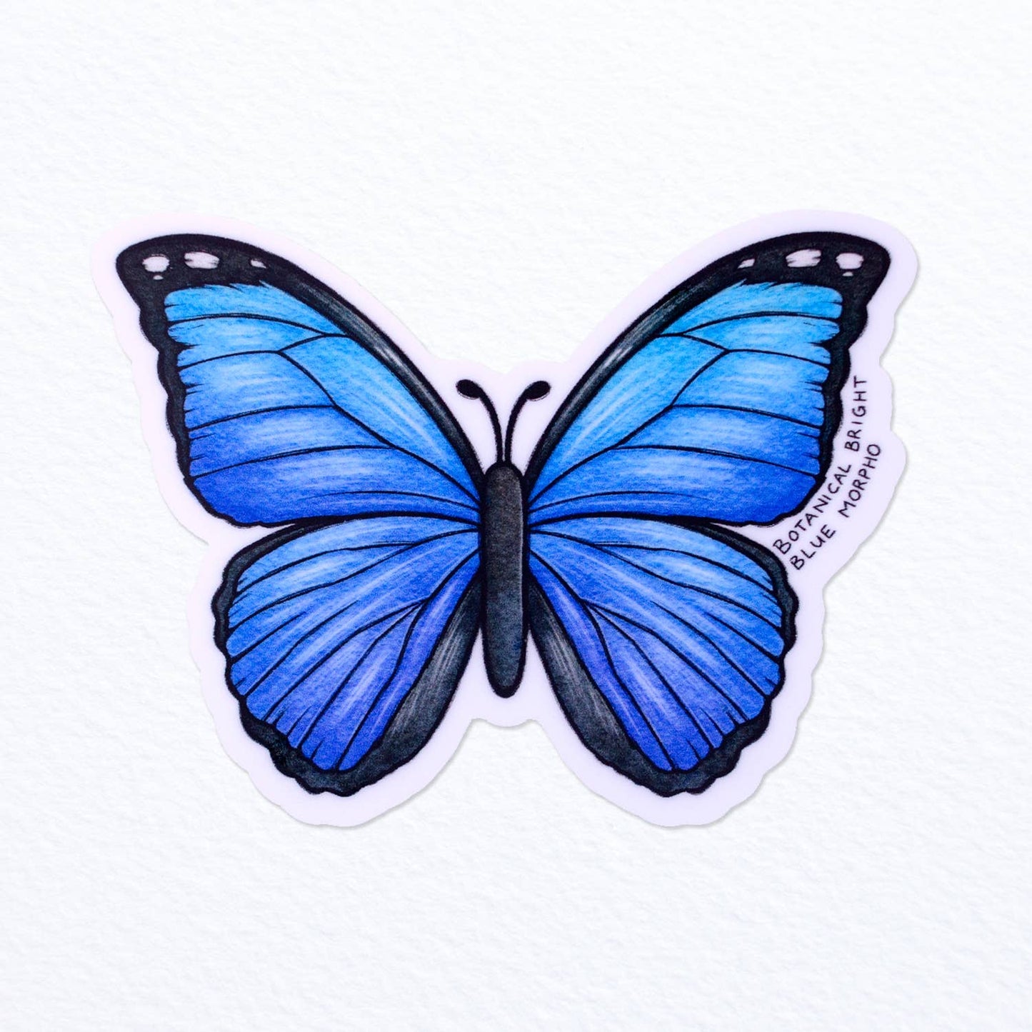 Blue Morpho Butterfly Sticker - Waterproof Vinyl