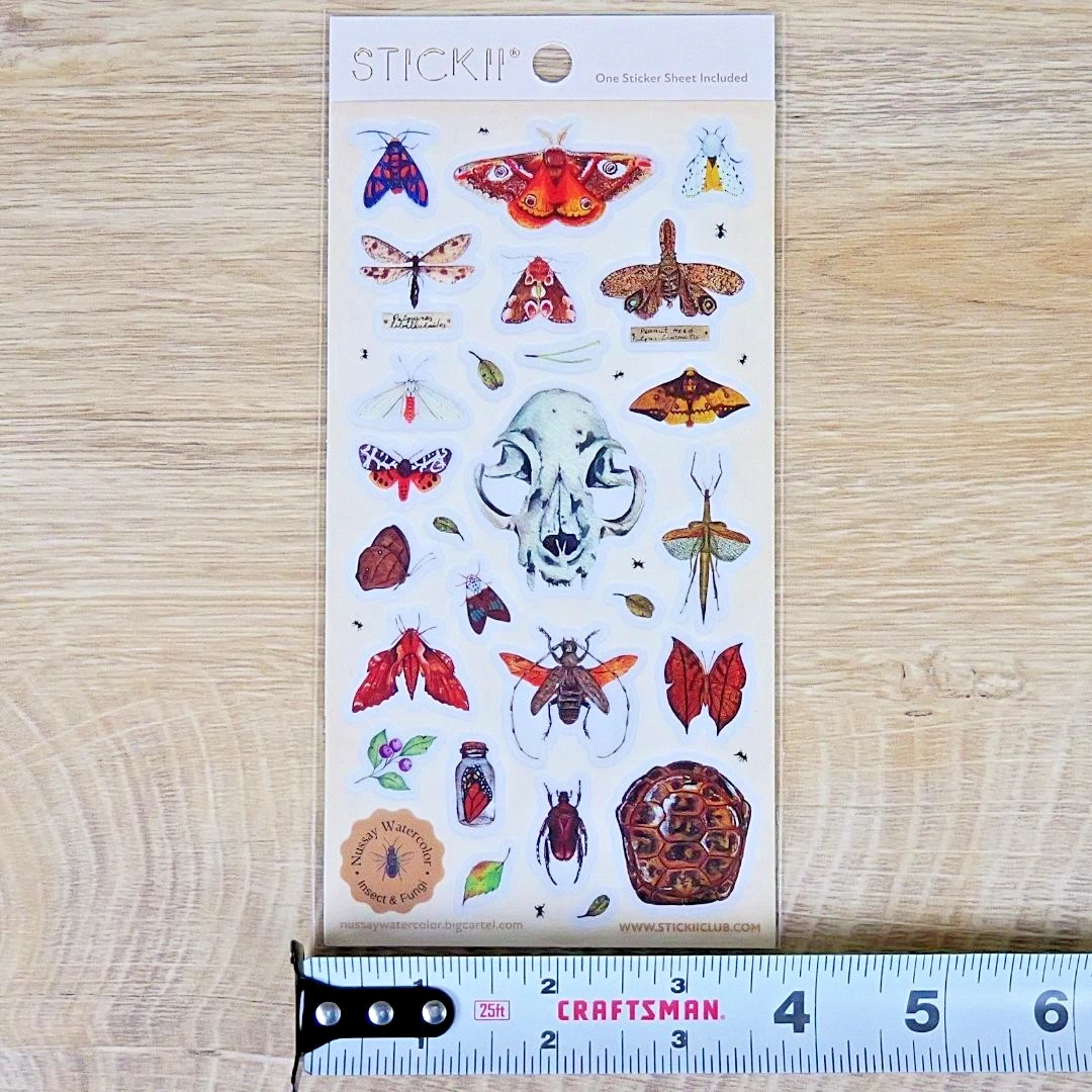 Nature Study Stickers - Animal Skull, Moths, Turtle Shell, & Insects Sticker Sheet