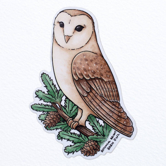 Barn Owl Sticker - Waterproof Vinyl