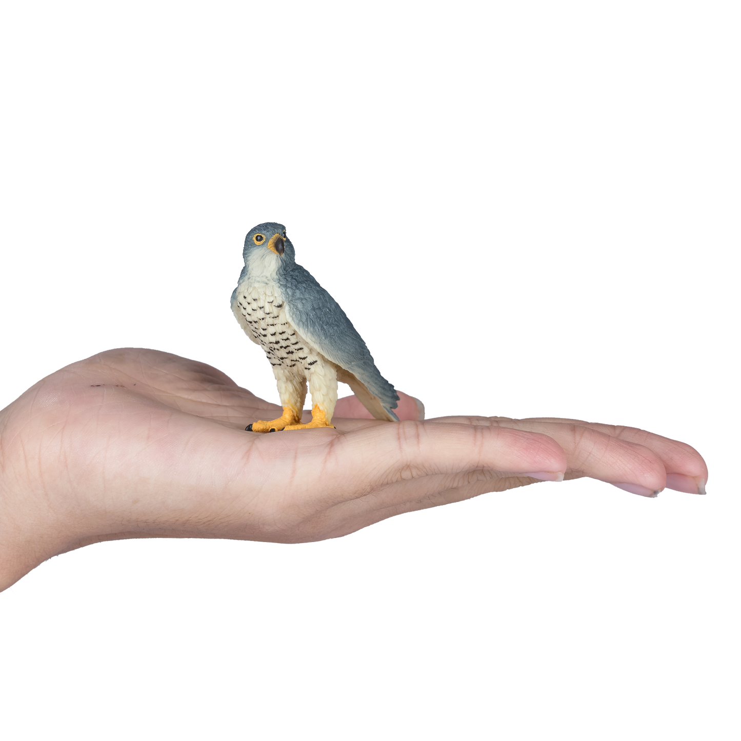Peregrine Falcon Figurine - Small Hand Painted Wildlife & Bird Toy Figure - Mojo