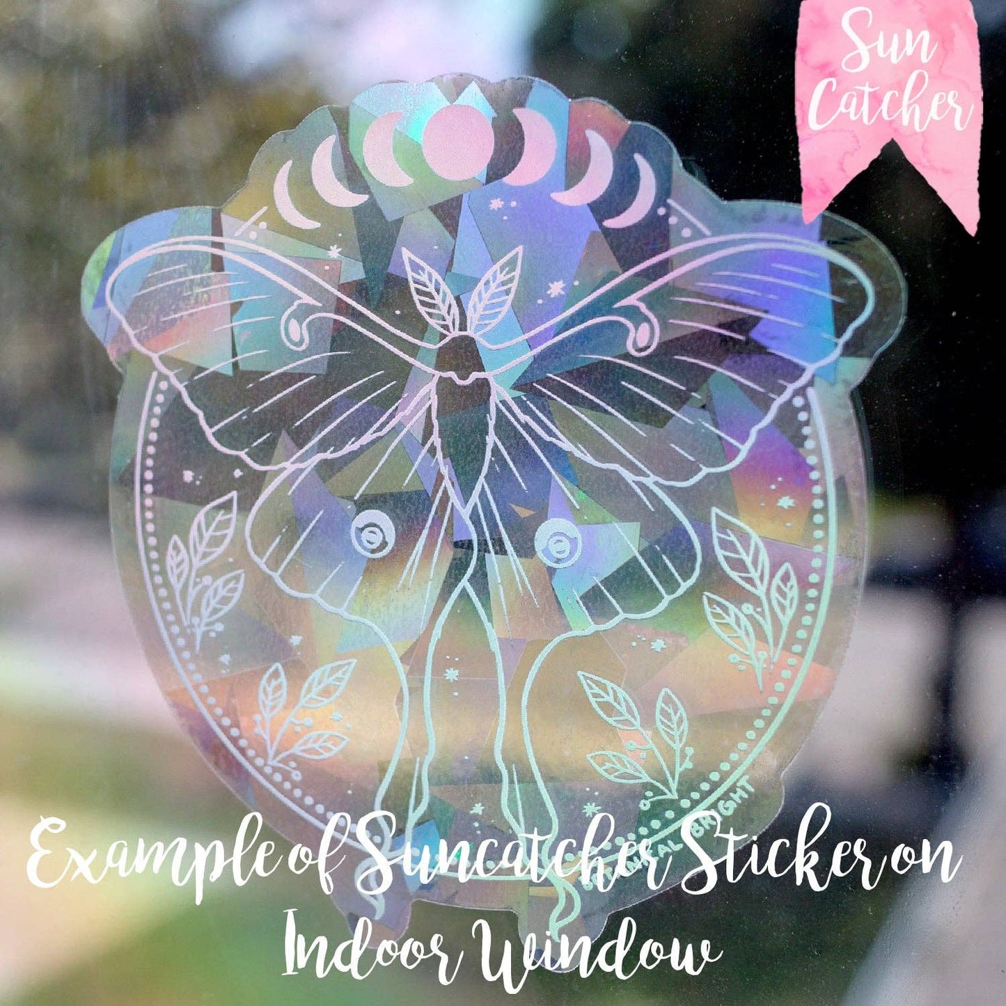 Raven Bird Sun Catcher Rainbow Maker Window Sticker - Indoor Window Decal