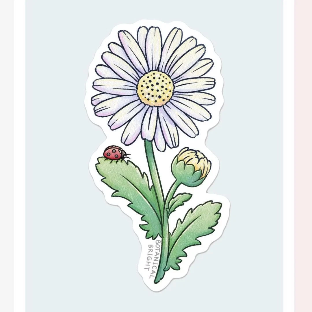 Daisy Flower with Ladybug Sticker - Waterproof Vinyl Nature Decal