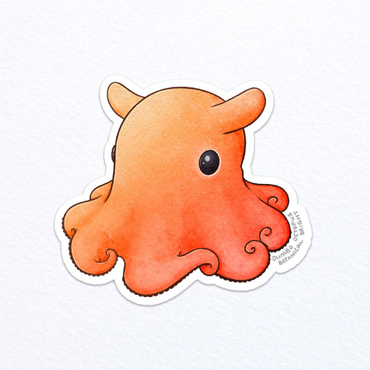 Dumbo Octopus Sticker - Waterproof Vinyl