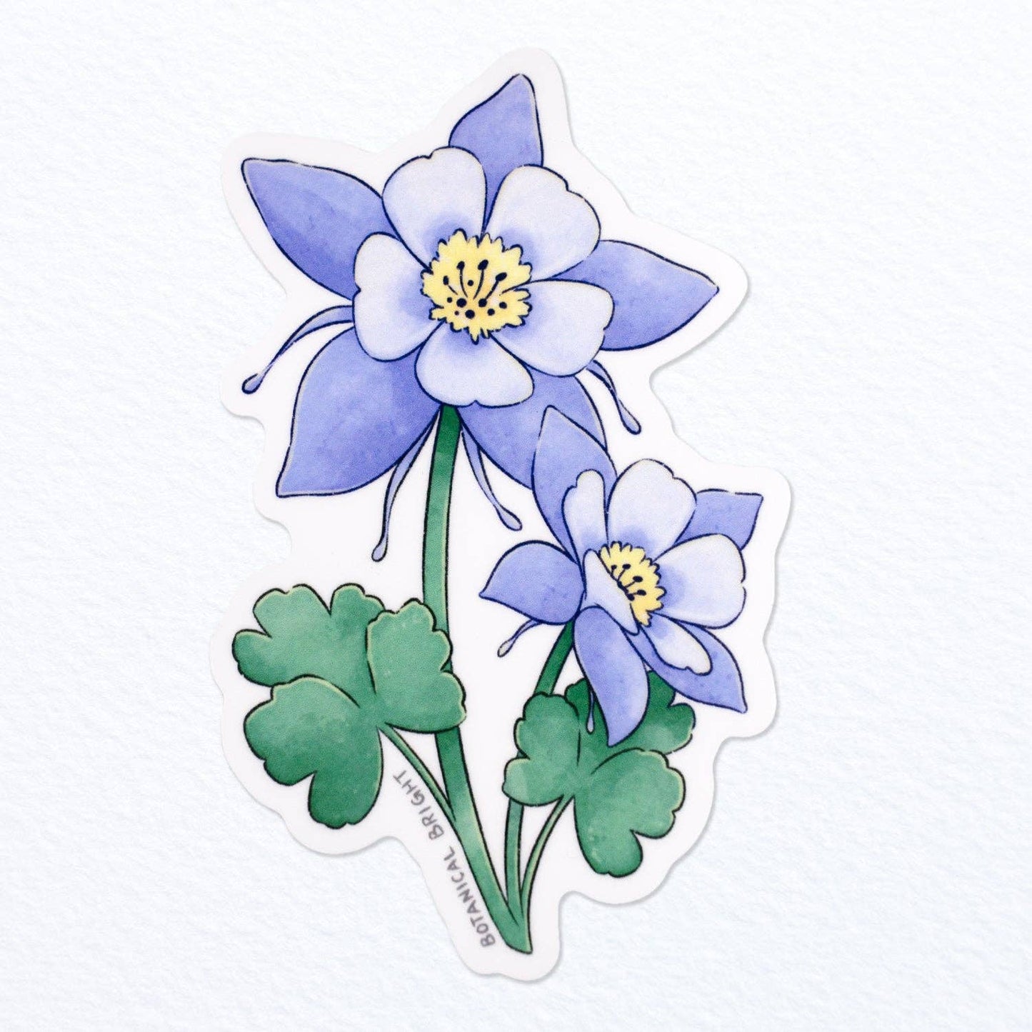 Colorado Blue Columbine Sticker - Colorado State Flower - Waterproof Vinyl