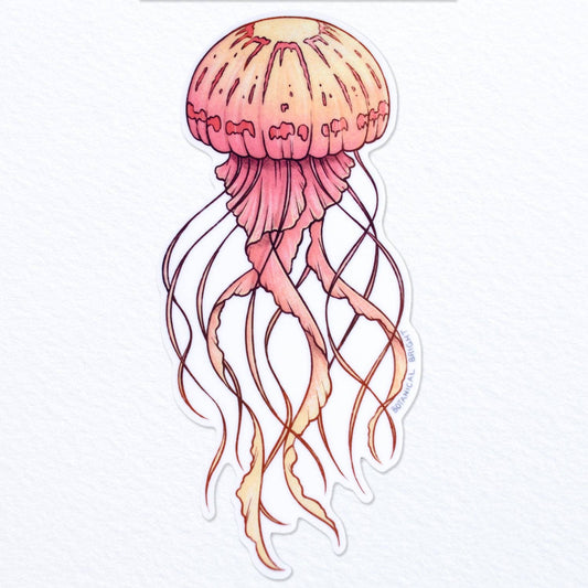 Jellyfish Sticker - Waterproof Vinyl Ocean & Sea Life Decal