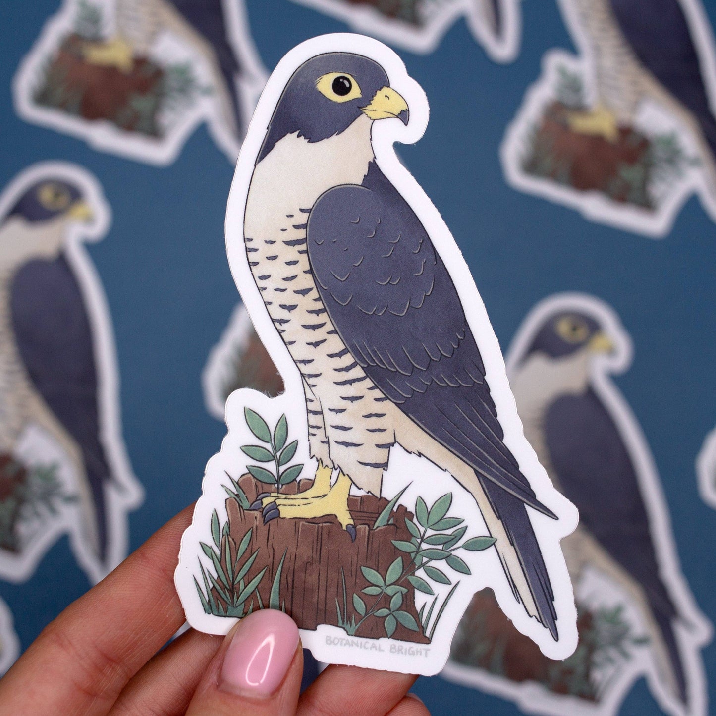 Falcon Bird Sticker - Waterproof Vinyl