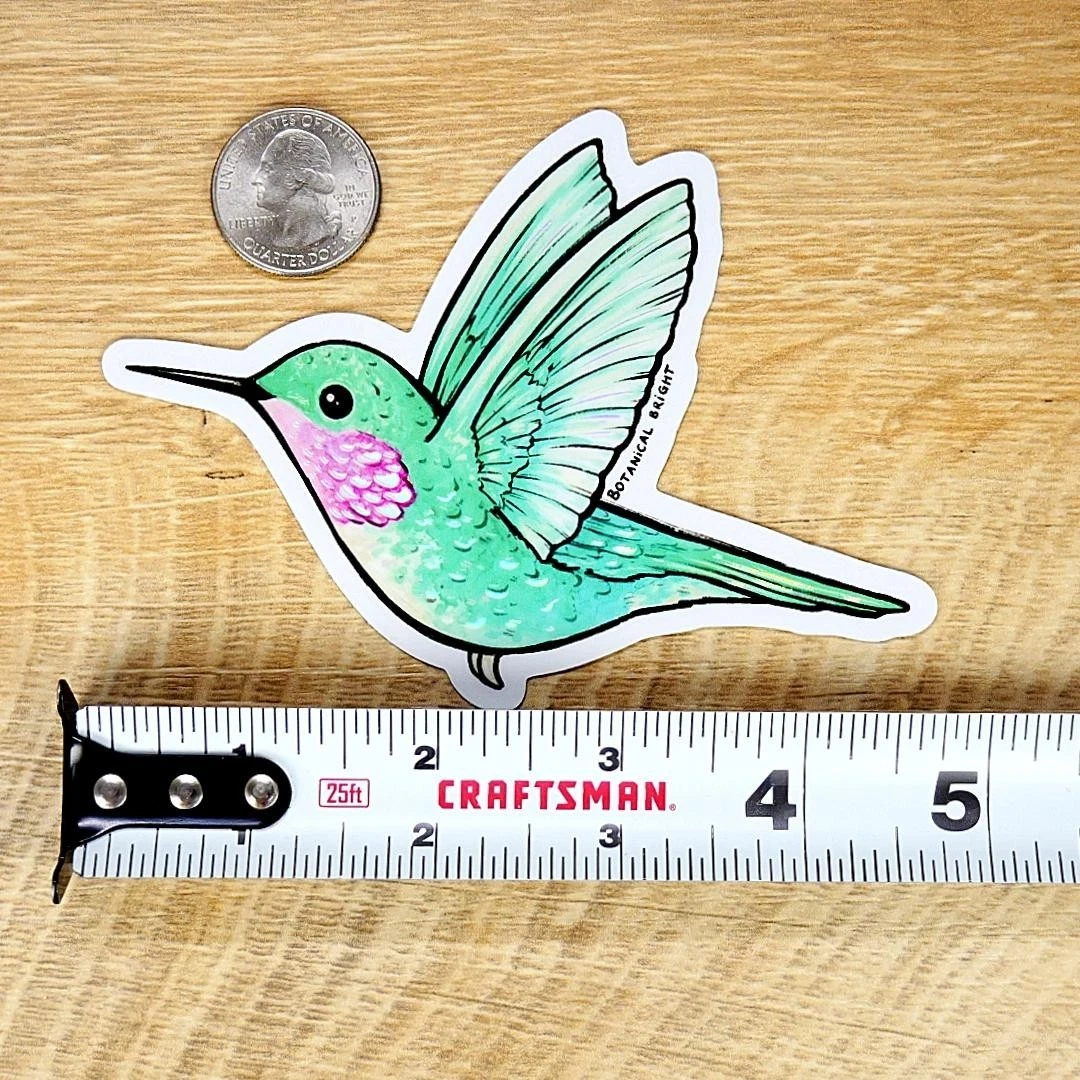 Hummingbird Sticker - Waterproof Vinyl Nature & Bird Decal - Holographic Details