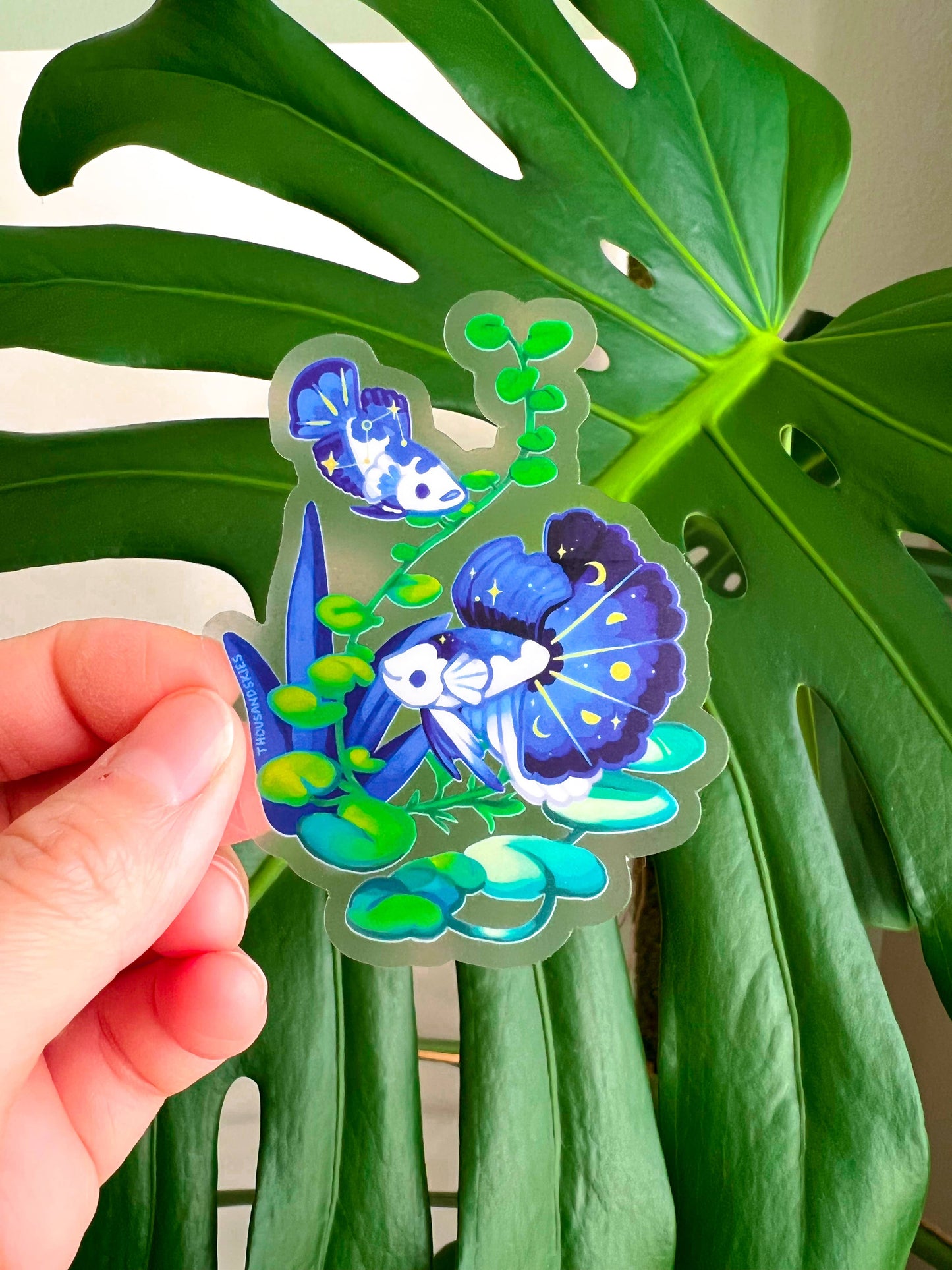 Betta Fish Sticker - Midnight Half Moon Bettas - Transparent - Waterproof Vinyl