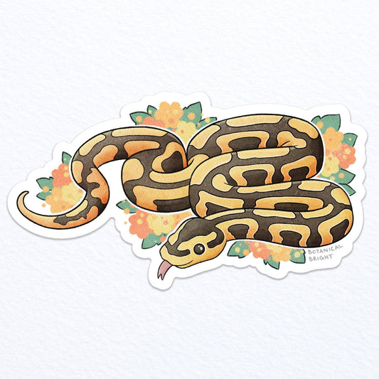 Snake Sticker - Ball Python - Waterproof Vinyl