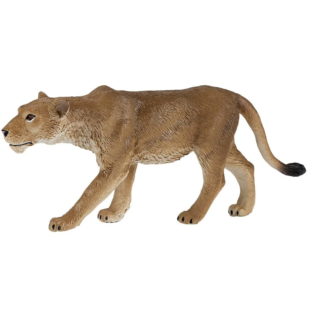African Lioness - Mojo