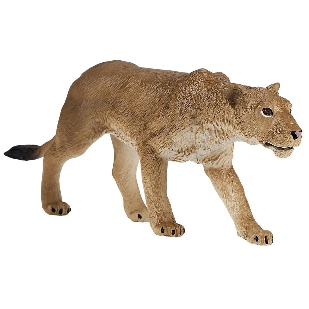 African Lioness - Mojo