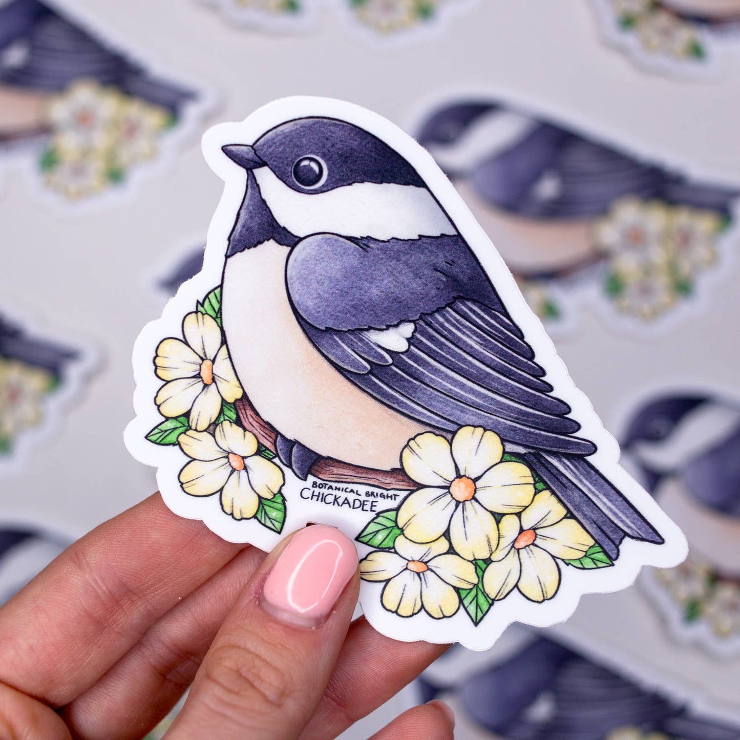 Chickadee Bird Sticker - Waterproof Vinyl